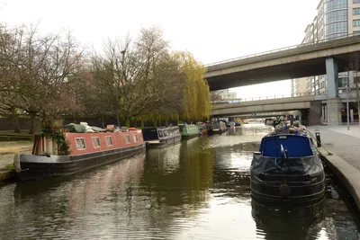 DSC_6083 (Large).JPG